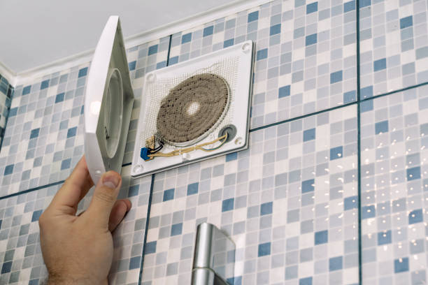 Best Home Air Vent Cleaning  in Trenton, TN