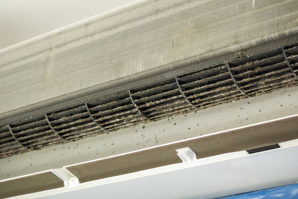 Best Affordable HVAC Duct Cleaning  in Trenton, TN